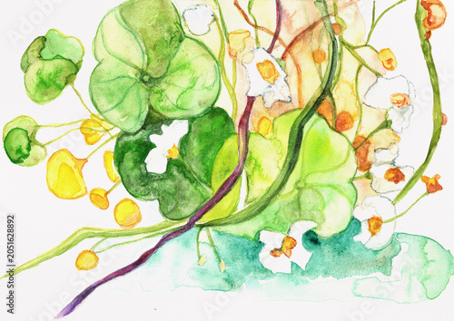 Interlaced Nasturtium Leaves and White Flower Vines with Yellow Orange Buds, Hand Painted Watercolor