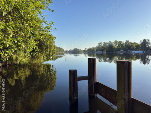 Schilderij op canvas Calm lake water at dawn with old wooden mooring posts and trees reflected in the
