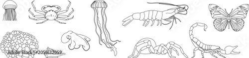Bild auf Leinwand Invertebrate animals collection, line art, crab, shrimp, scorpion, butterfly, je