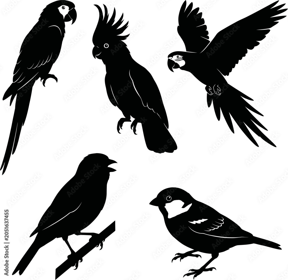 Fototapeta premium Black bird silhouettes, parrot and cockatoo vector icons, birdwatching illustrations, wildlife graphics