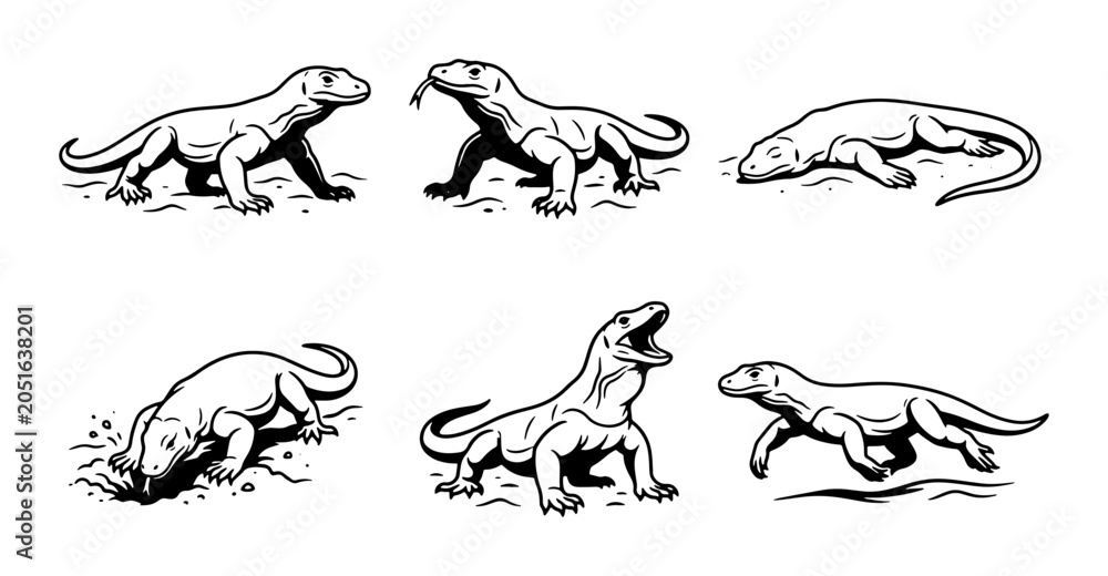 Fototapeta premium Komodo Dragon Vector Icons Set, Reptile Wildlife Illustrations, Animal Graphic Elements