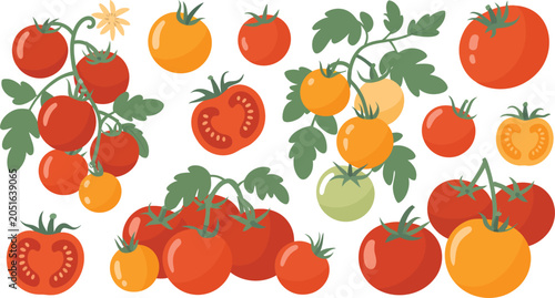 A flat 2d illustration of fresh red and yellow tomatoes on vines with green leaves and slices