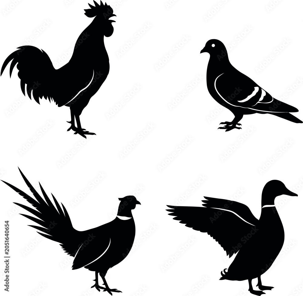 Fototapeta premium Black bird silhouettes, chicken, rooster, pigeon, fowl icons, 4 animal graphics