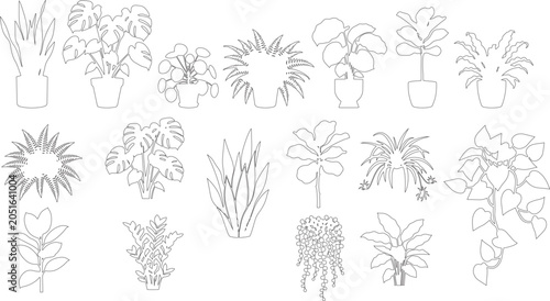 2D Indoor Plant CAD Blocks, Houseplant Elevation Drawings for Architectural Projects
