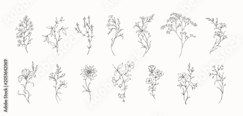 Set of whimsical drawing various flowers and leaves. Luxury floral collection for wedding invitation, wallpaper art or save the date card. Botanical vector
