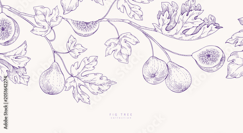 Cuadro en lienzo Background with fig tree brunch and leaves