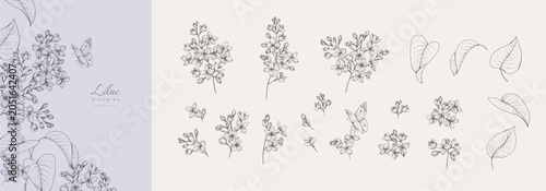 Foto Set of blooming lilac flowers and brunch