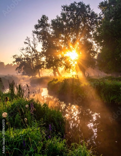 A serene sunrise over a tranquil lake with lush greenery