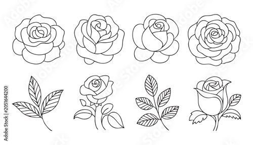 Photos Hand drawn roses and leaves for design on transparent background vector art