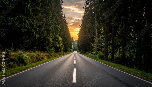 A serene, tree-lined road stretches into the distance towards a vibrant sunset