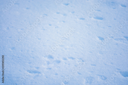 Canvas Print Winter white background