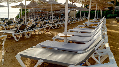 Rows of sunbeds line the golden beach