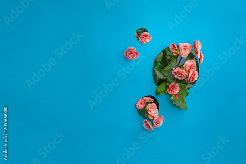 Pink begonia flowers with green leaves are arranged around circular cutouts in bright blue paper background