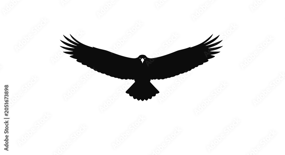Fototapeta premium Soaring raven with outstretched wings black silhouette
