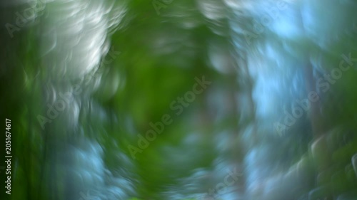 Abstract forest bokeh background with soft motion