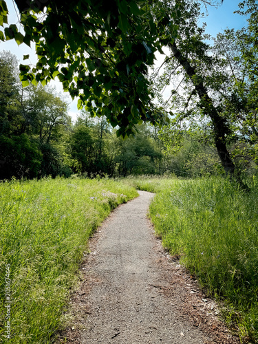Calgary, Alberta - July 7, 2025: Path through landscaped greenery in Rideau Park in Calgary, Alberta, Canada.
