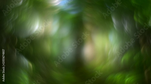 Abstract forest bokeh background with soft motion