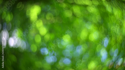Abstract forest bokeh background with soft motion