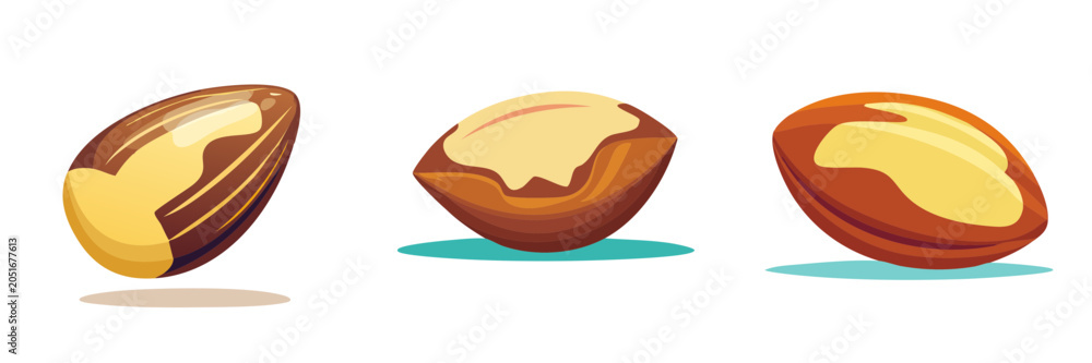 Obraz premium Set of three Brazil nuts on a white background with artistic shadows