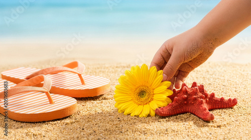 Child's hand touching a yellow daisy next to a red starfish on a sandy beach