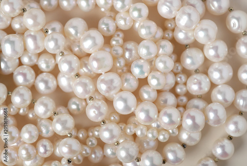 Pearl background. Texture from beads of white pearls