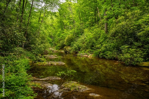 living waters