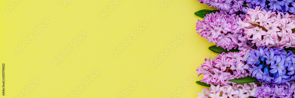 Fototapeta premium Bright flowers in shades of pink and purple arranged on a yellow background create a cheerful scene in spring