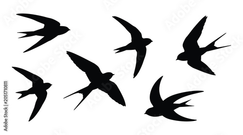 Flying bird silhouettes in various poses with silhouette wildlife isolated migration collection
