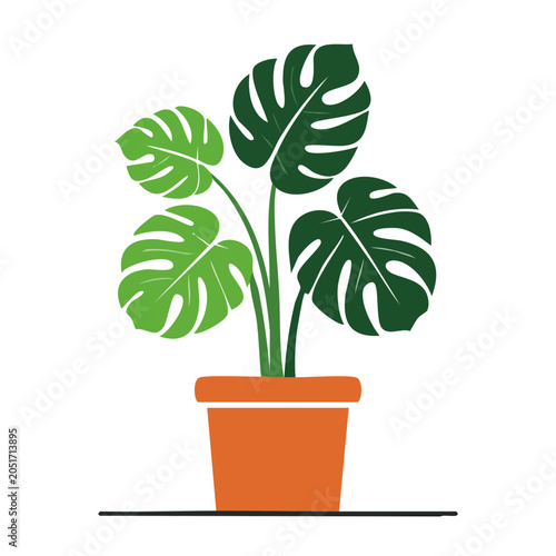 Flat design illustration of a Monstera plant in an orange pot