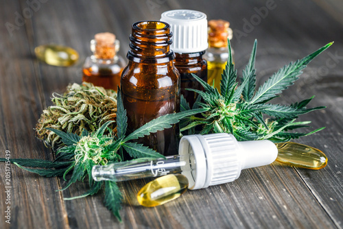 Green leaves of medicinal cannabis with extract oil.Medical marijuana flower buds. Hemp buds - medical marijuana concept