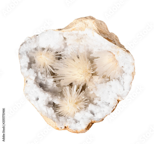 raw scolecite spray crystals in quartz geode cutout on white background