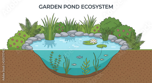 A two-dimensional illustration depicting a cross-section of a pond ecosystem, featuring aquatic animals and plants
