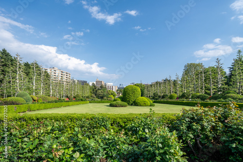 Beautiful garden near the row of plane trees at Shinjuku Gyoen National Garden - Tokyo Japan
