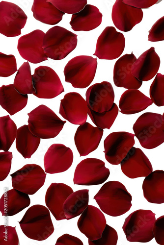 Falling burgundy rose petals isolated PNG luxury romantic floral overlay