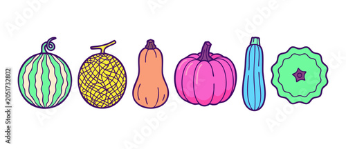 Bild auf Leinwand Colorful pumpkin squash vector illustration set isolated on white background