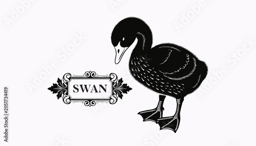 Quadro em tela Very beautiful black-and-white engraved vector illustration featuring a graceful Swan chick with soft plumage and a decorative engraved label reading SWAN, isolated on white background