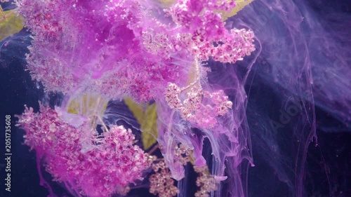 Soft pink blossoms and slender stems fill one side of the frame while sheer fabric drifts across a dark background, creating a dreamy abstract composition