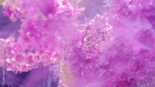 Abstract close-up of swirling purple dust and mist with shimmering particles, soft light, and a dreamy textured background spreading across the frame
