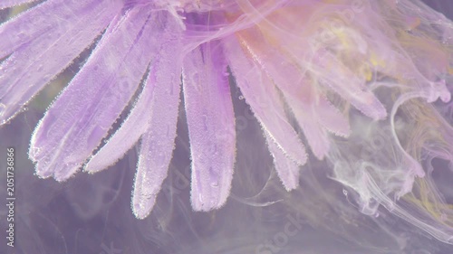 Delicate lavender petals fill the frame in a soft abstract floral composition, with gentle pastel light and a translucent background creating a dreamy natural