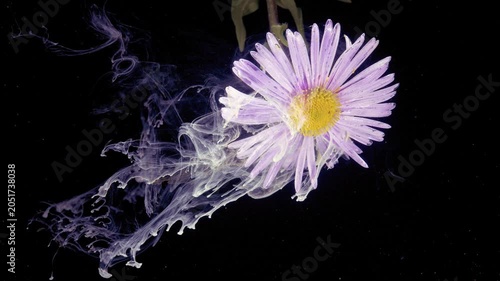 A pale purple flower with a yellow center is shown against a deep black background, while wispy smoke-like trails drift across the frame and around the bloom