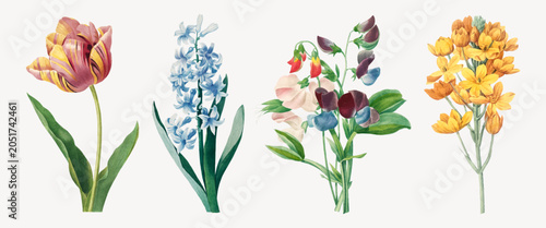 Photos Vector illustration of four colorful, detailed flower arrangements