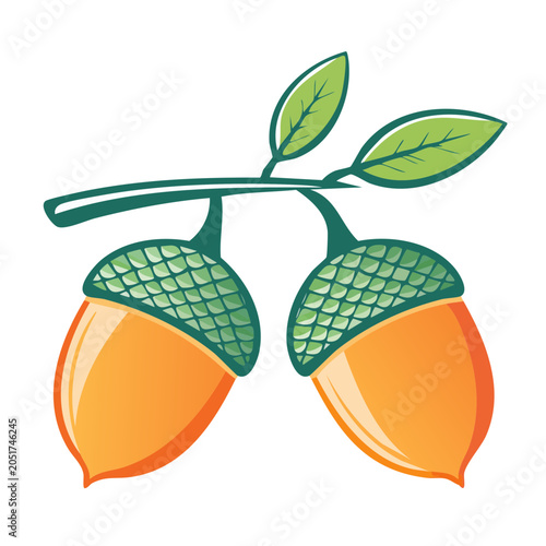 Two acorns on a branch with leaves