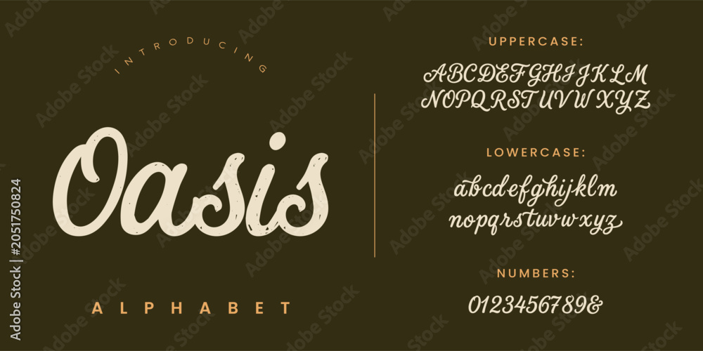 Fototapeta premium Oasis Handwritten Script Alphabet Font for Creative Branding and Graphic Design