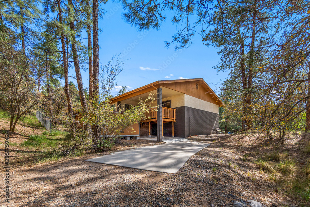 Naklejka premium A small house sits in the forest surrounded by trees
