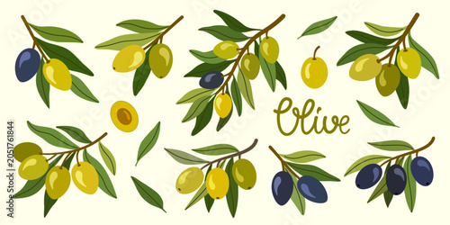 Tableau sur toile Olive branch collection with green and black olives