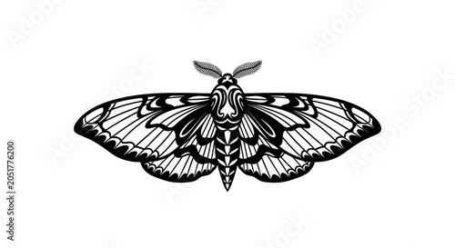 Ornate black and white moth silhouette with symmetrical wing patterns