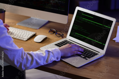 Female programmer working w...