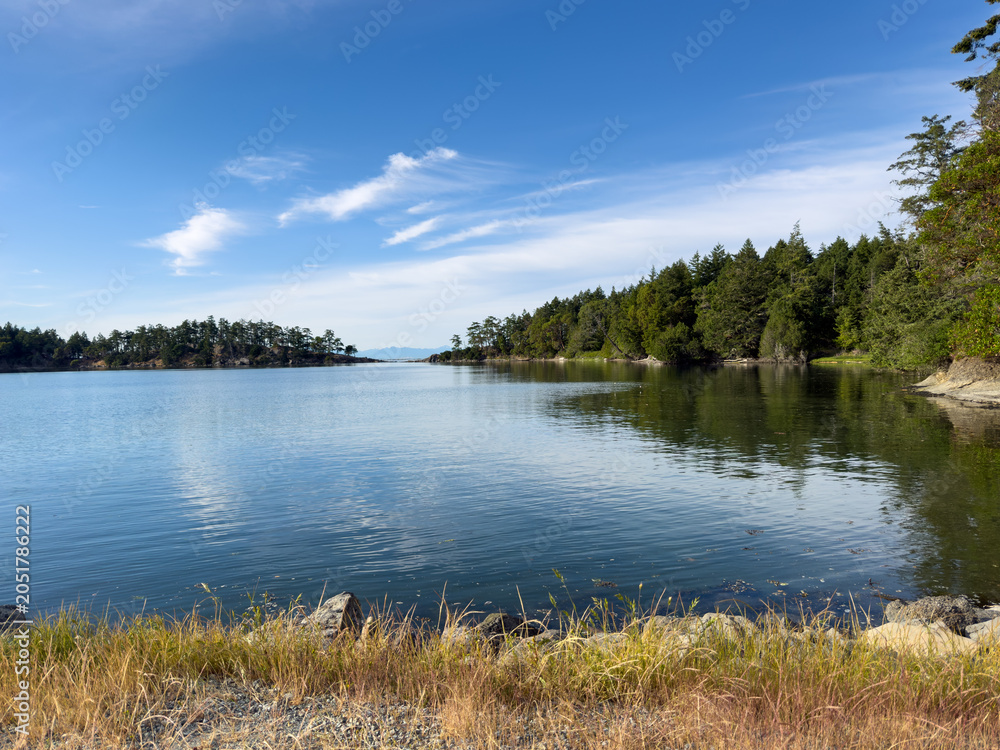 Fototapeta premium Tranquil water in a natural cove surrounded by trees on a sunny day