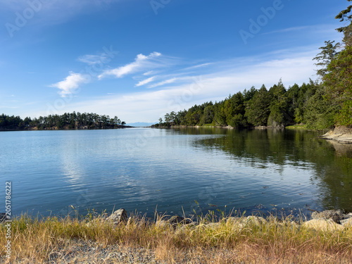 Tranquil water in a natural cove surrounded by trees on a sunny day