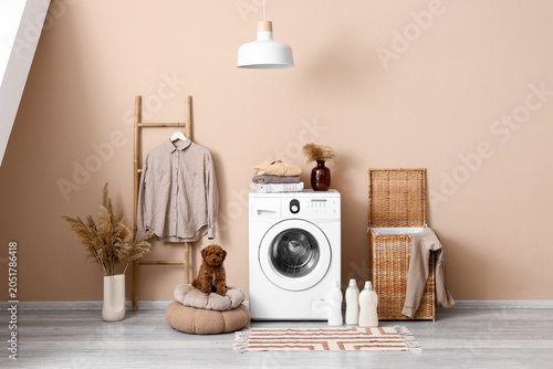 Cute Toy Poodle dog on pouf...